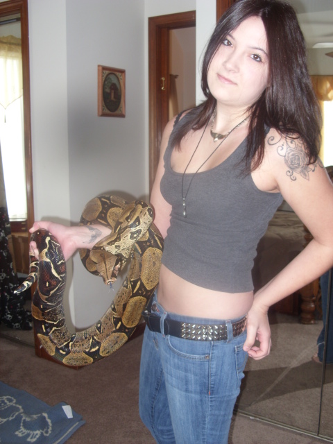 Peruvian Boa
