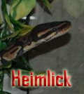 Heimlick