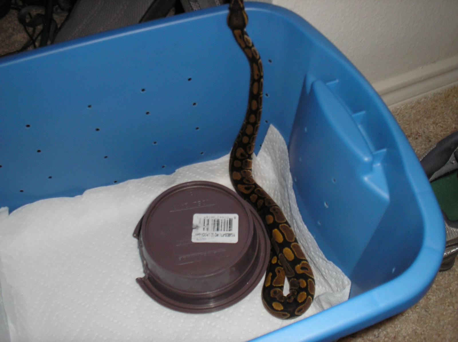 First Pics