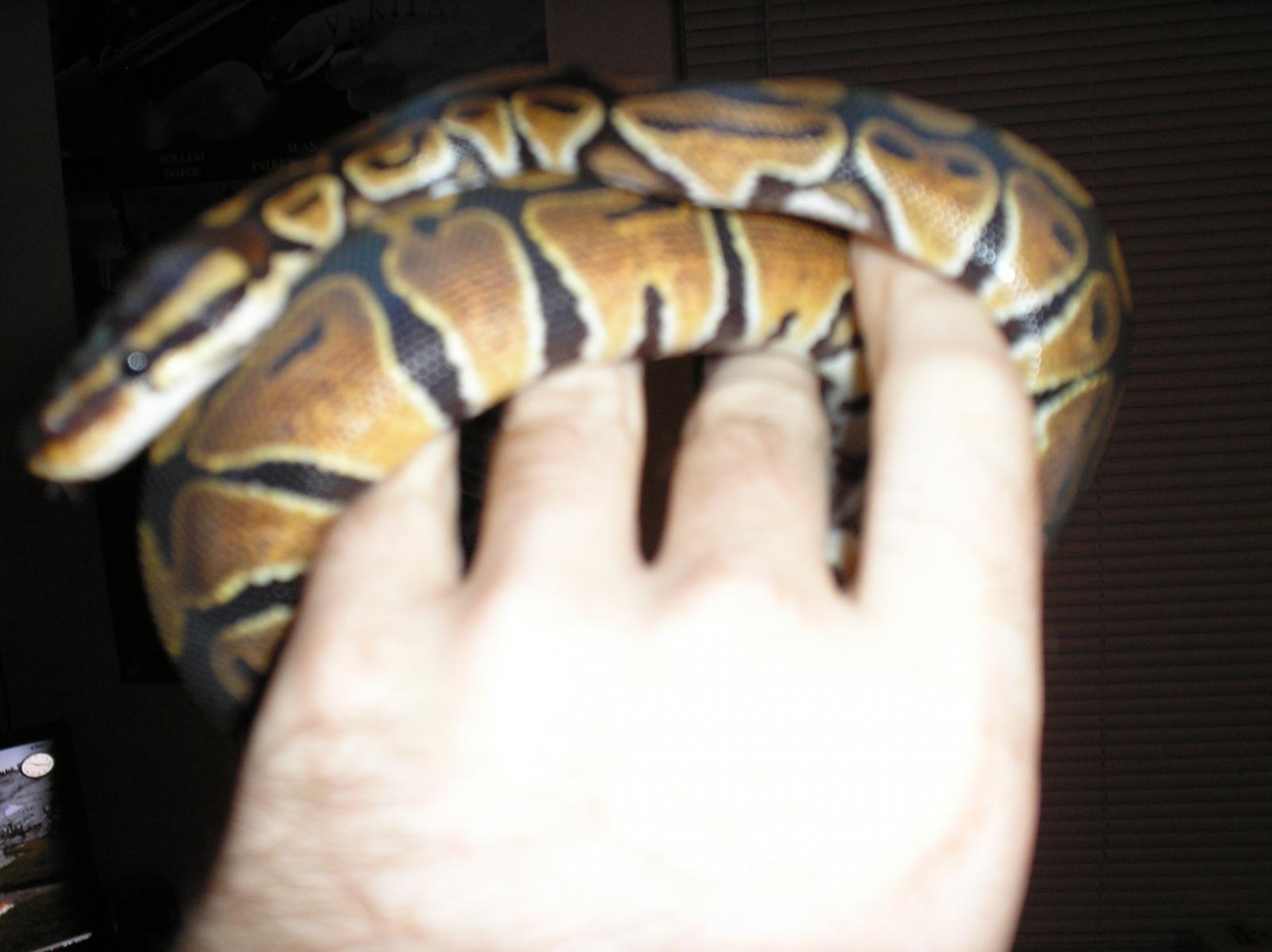 First Pics