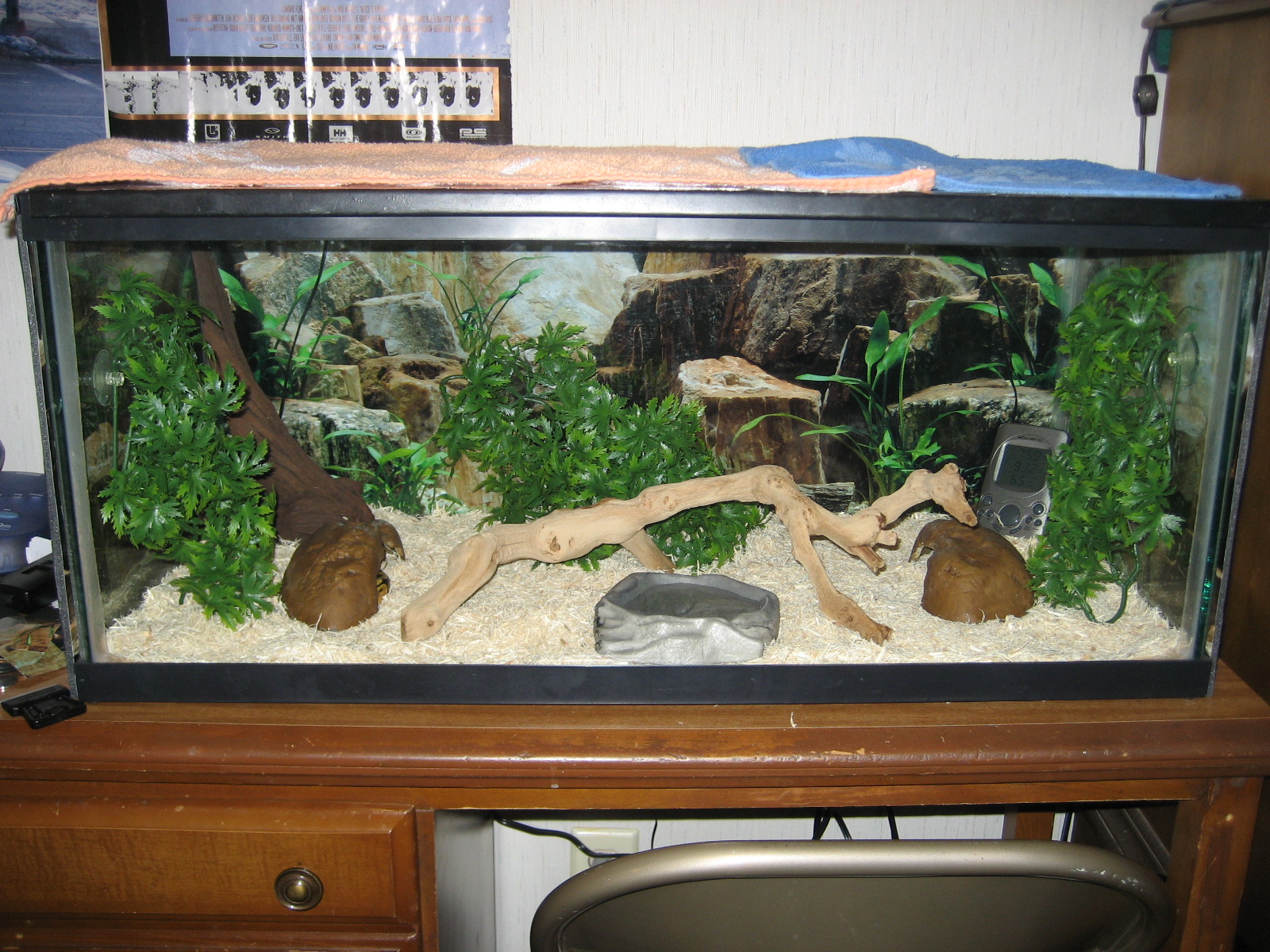 Diesels Cage Setup