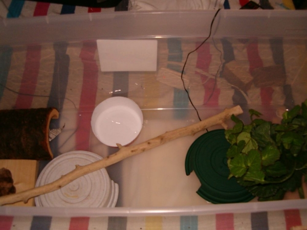 Picture027