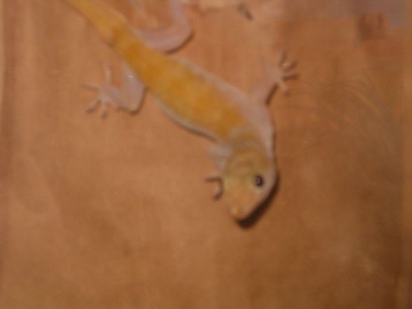 Picture032
