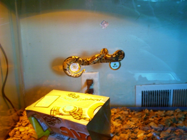 IMAG0019
