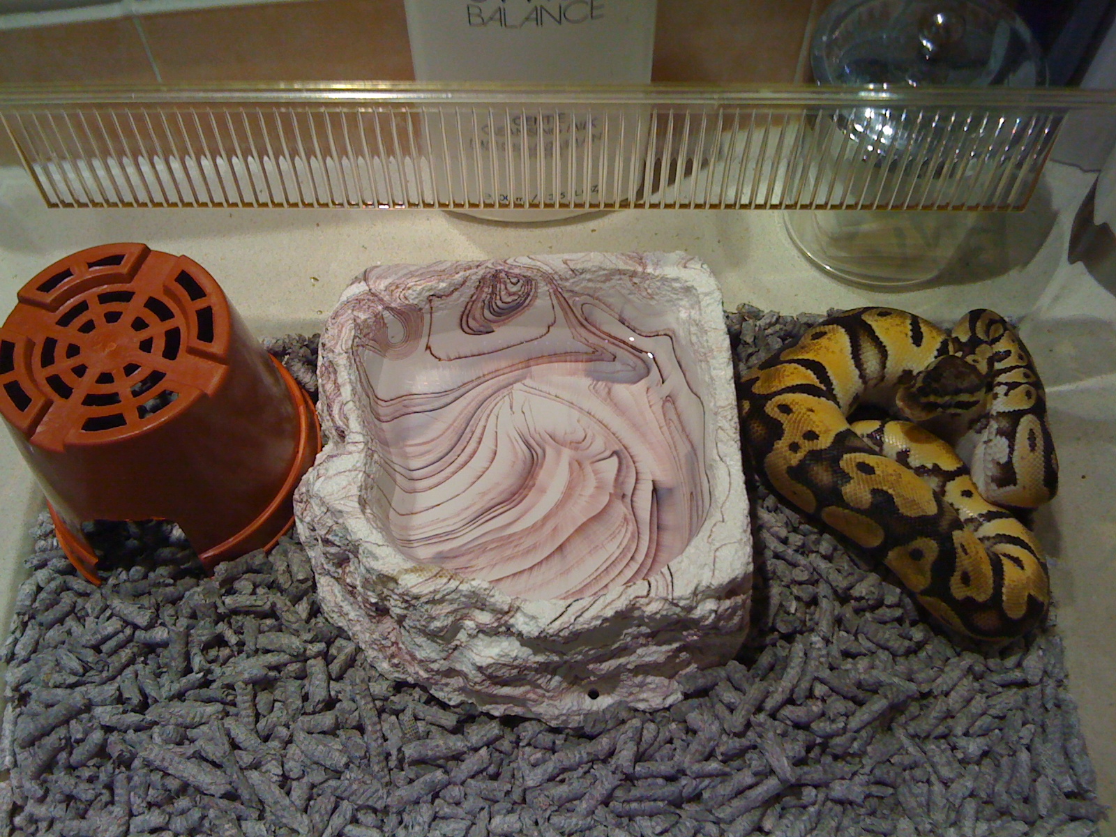 My Baby Ball And 1 Year Old Pastel