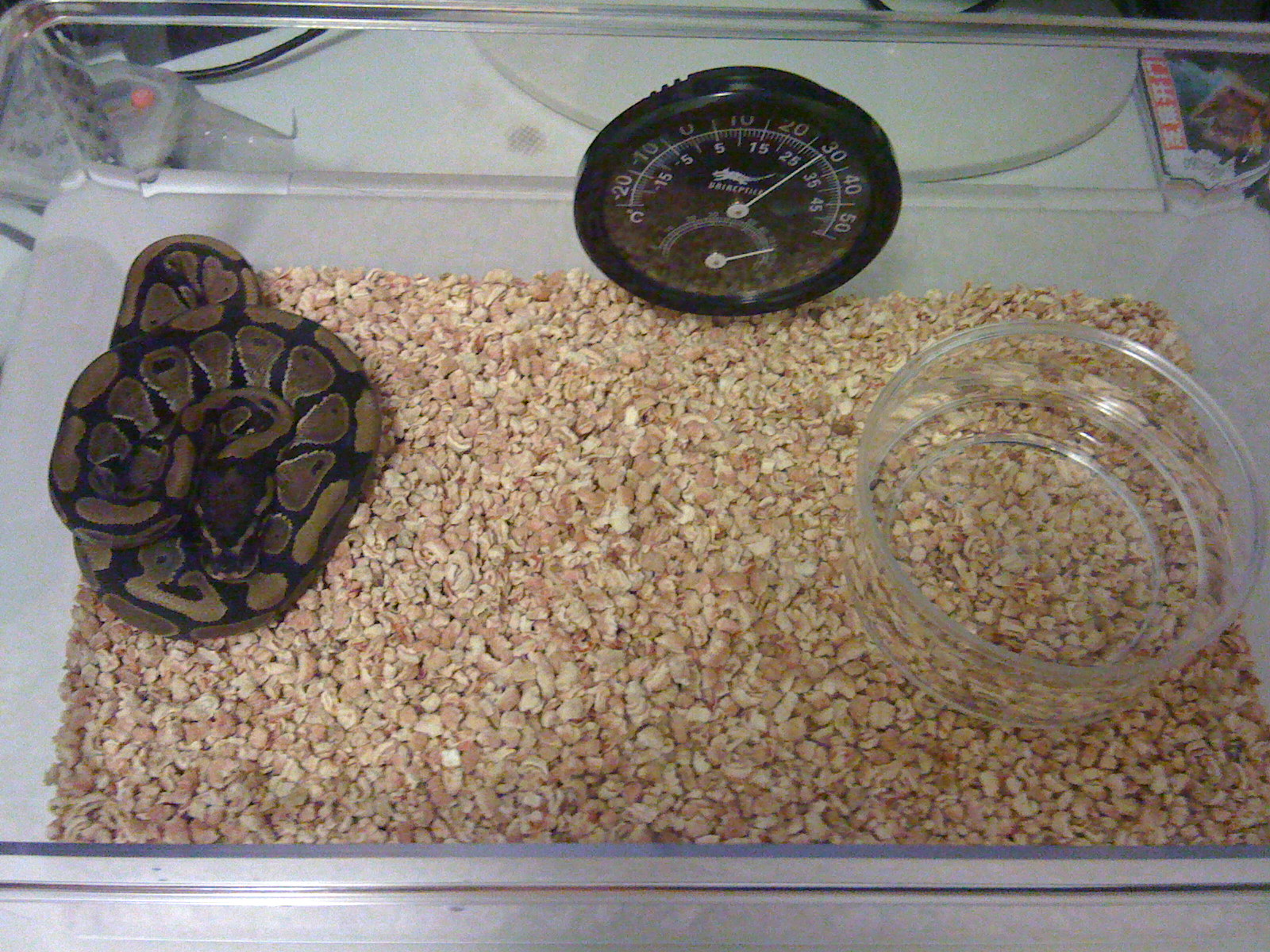 My Baby Ball And 1 Year Old Pastel