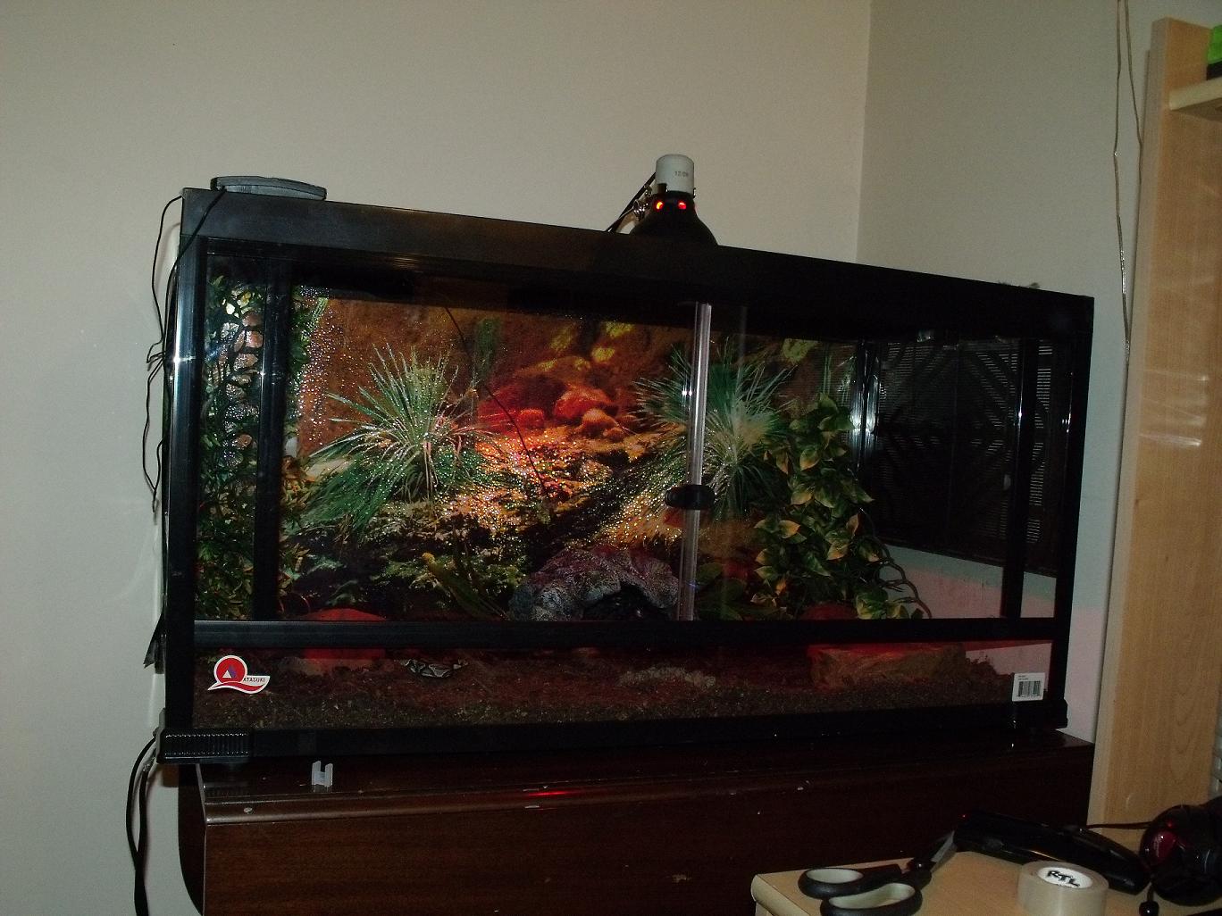 Diablos Tank