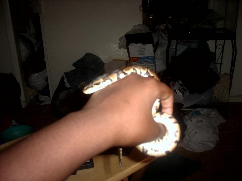 Aug21030