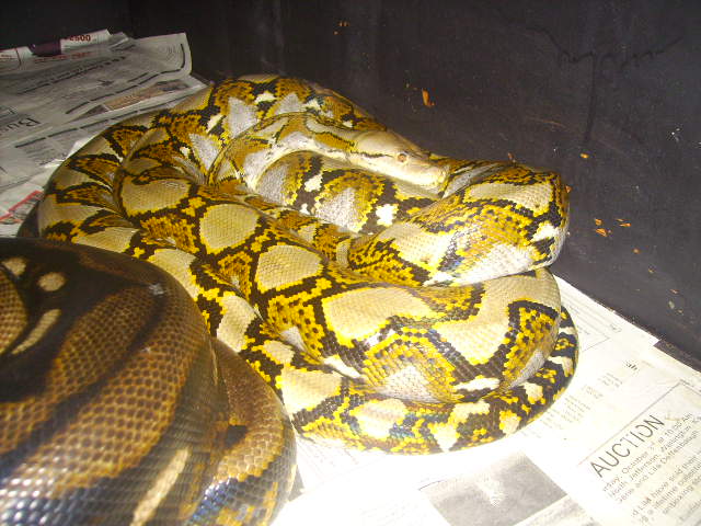 Just Some More Of Them