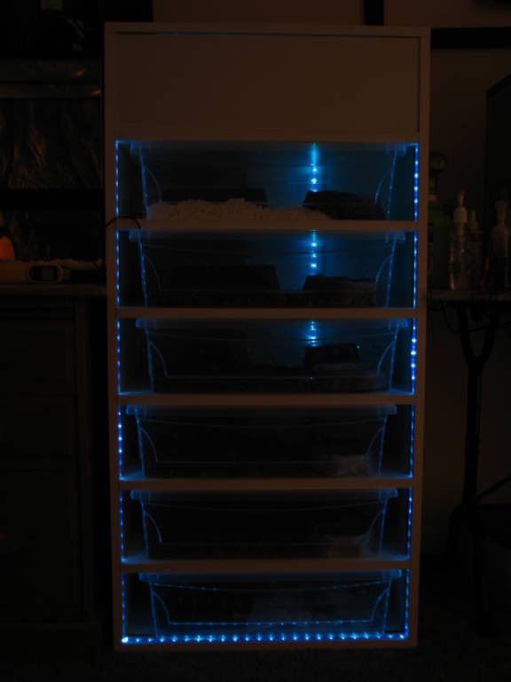 Built My Own Rack.
