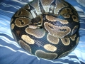 My Bp "mojo"
