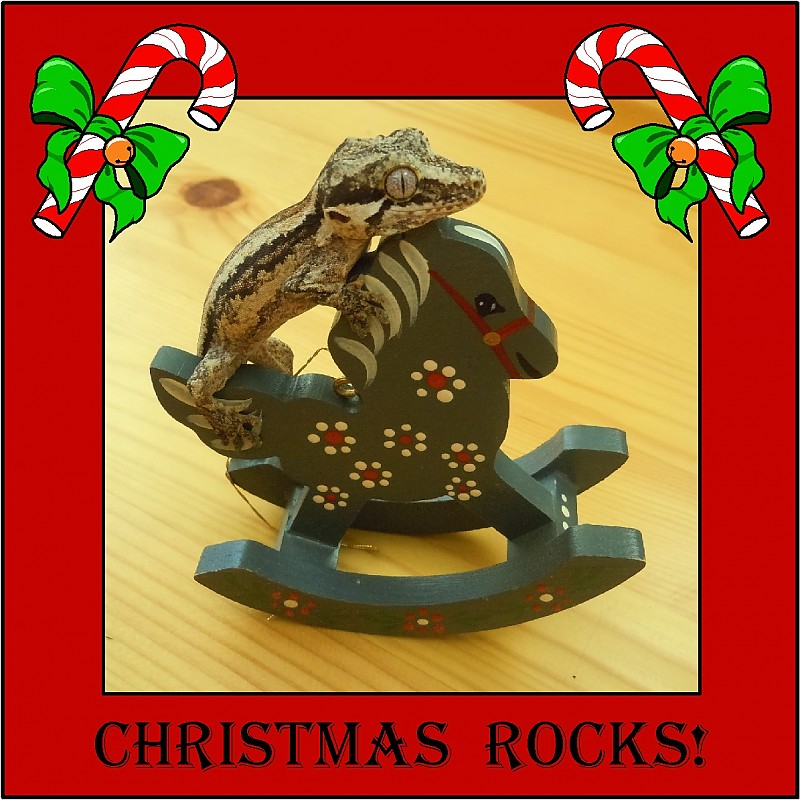 Christmas Rocks!