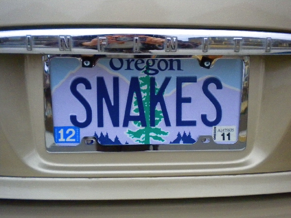 New License Plates