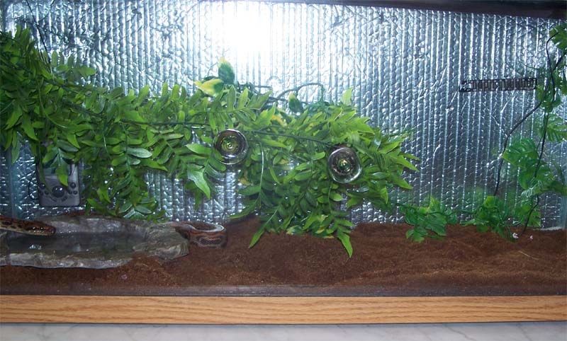 Display1