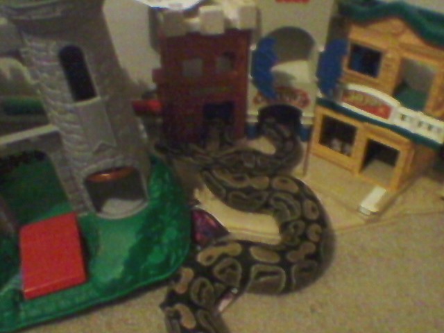 My Babies