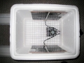 Diy Incubator