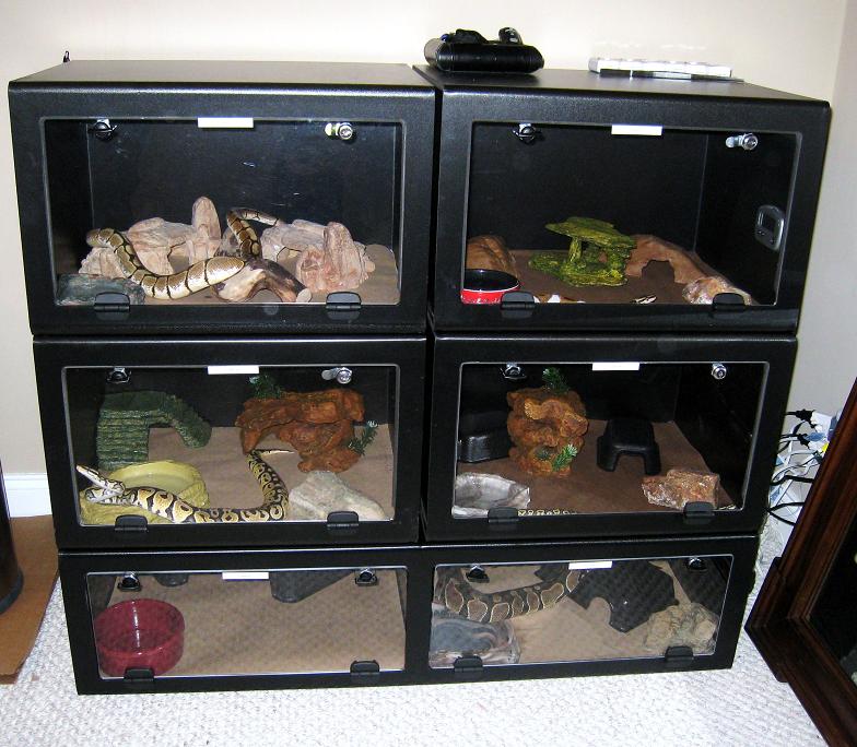 Snakes Houses