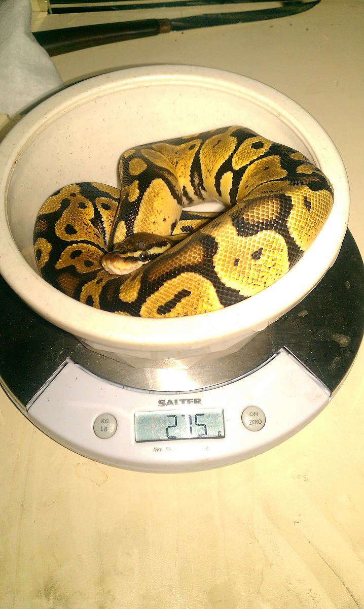 imag0135