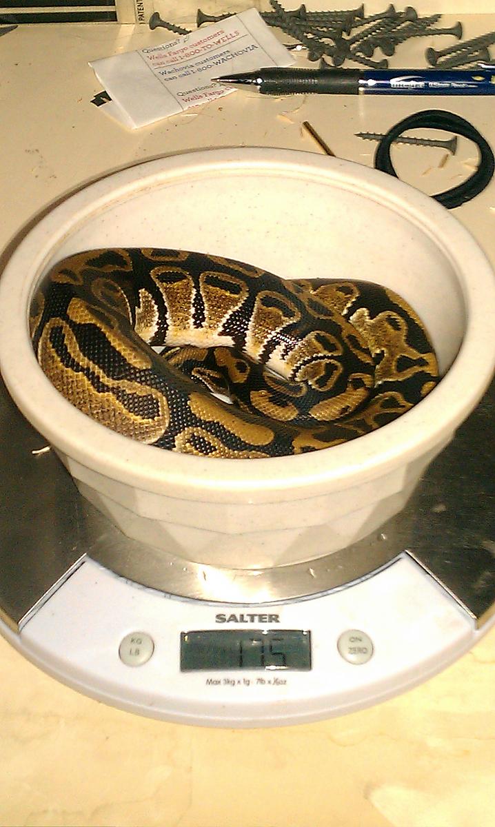 imag0155