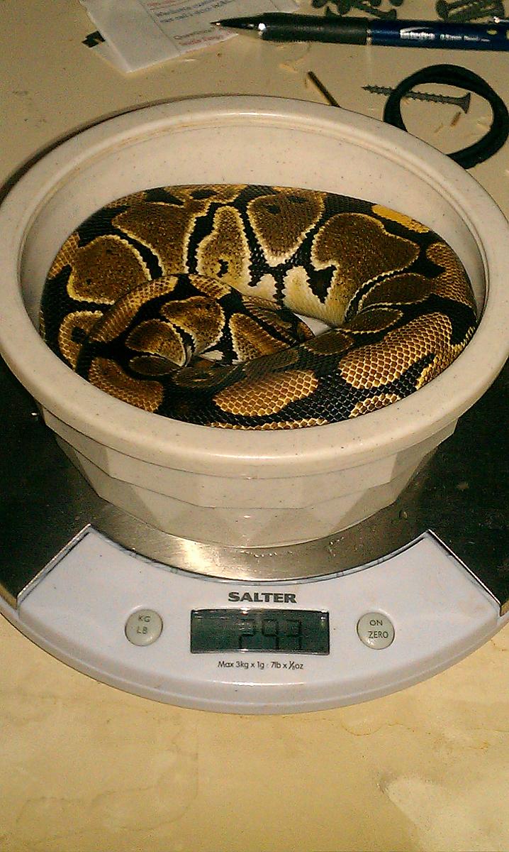 imag0157