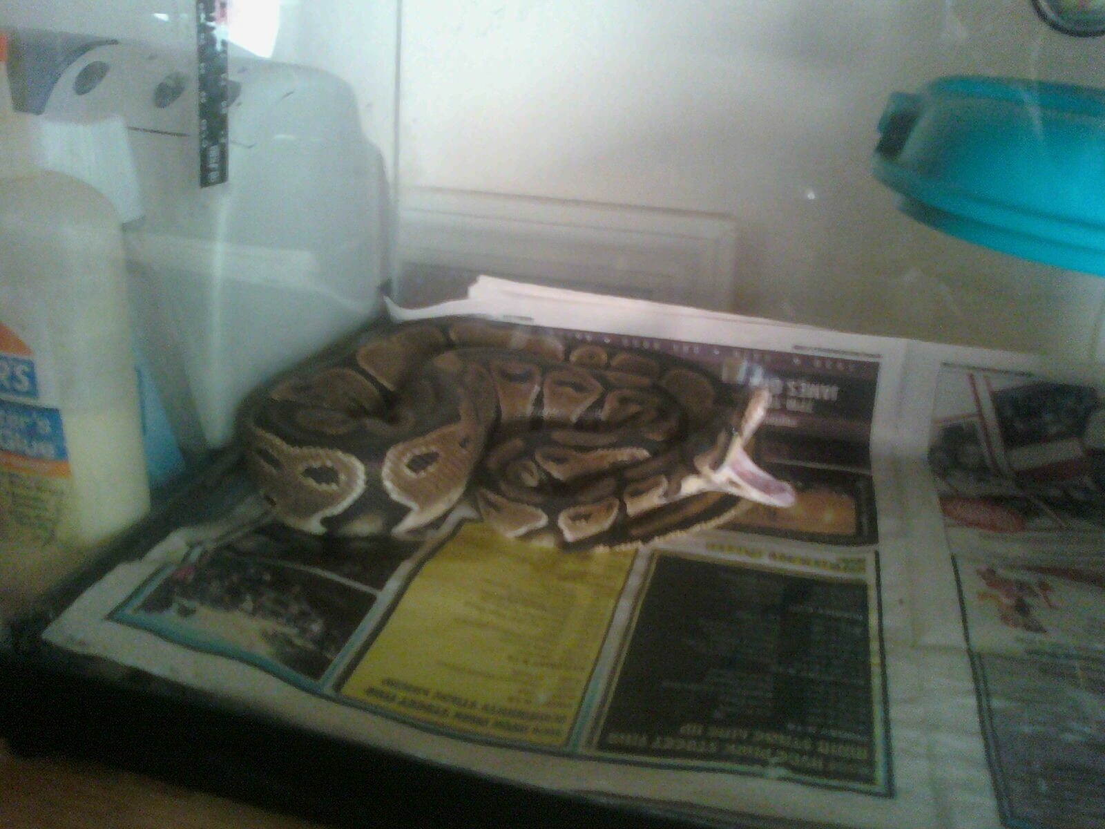 Yawn!