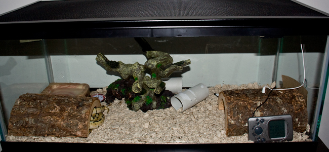 Cage1