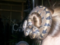 Snake Scrunchie