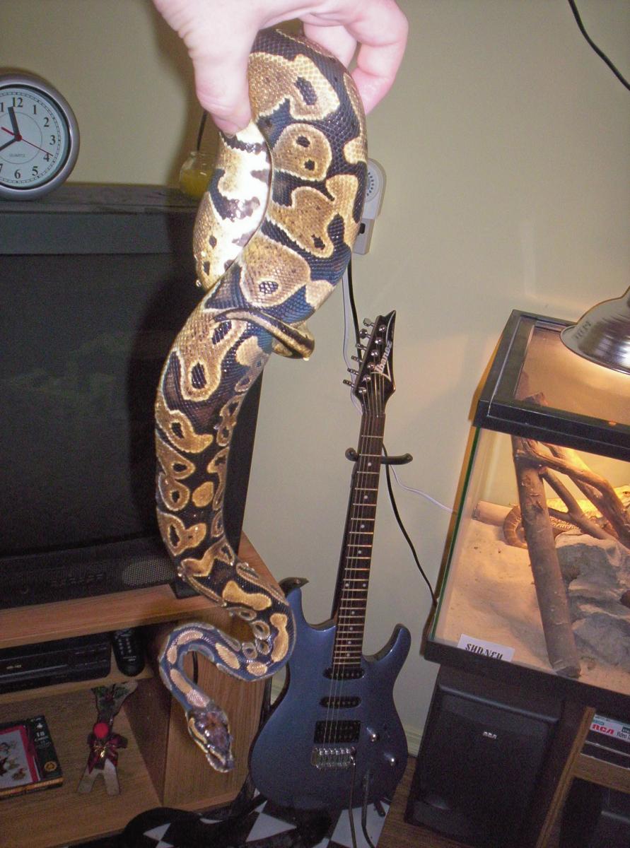Tyson