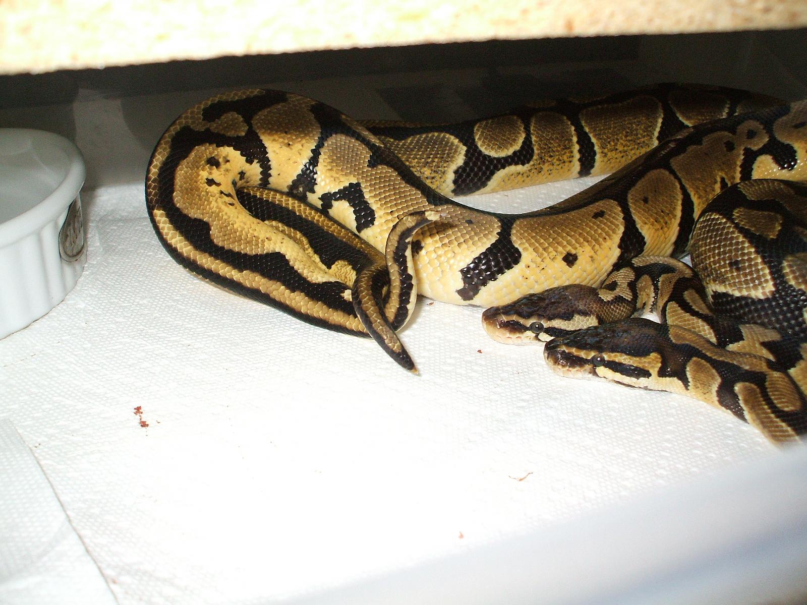 breeding etc