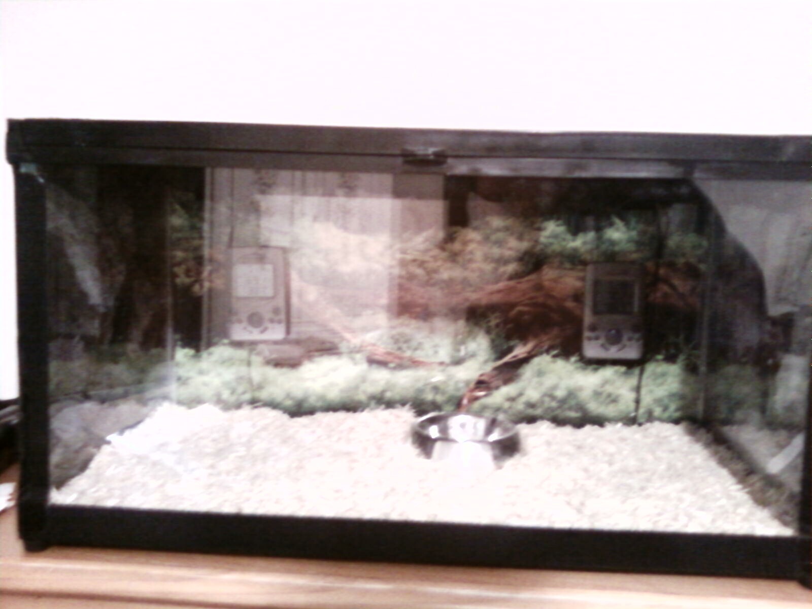 Tank Setup