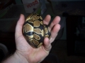 100 4025small