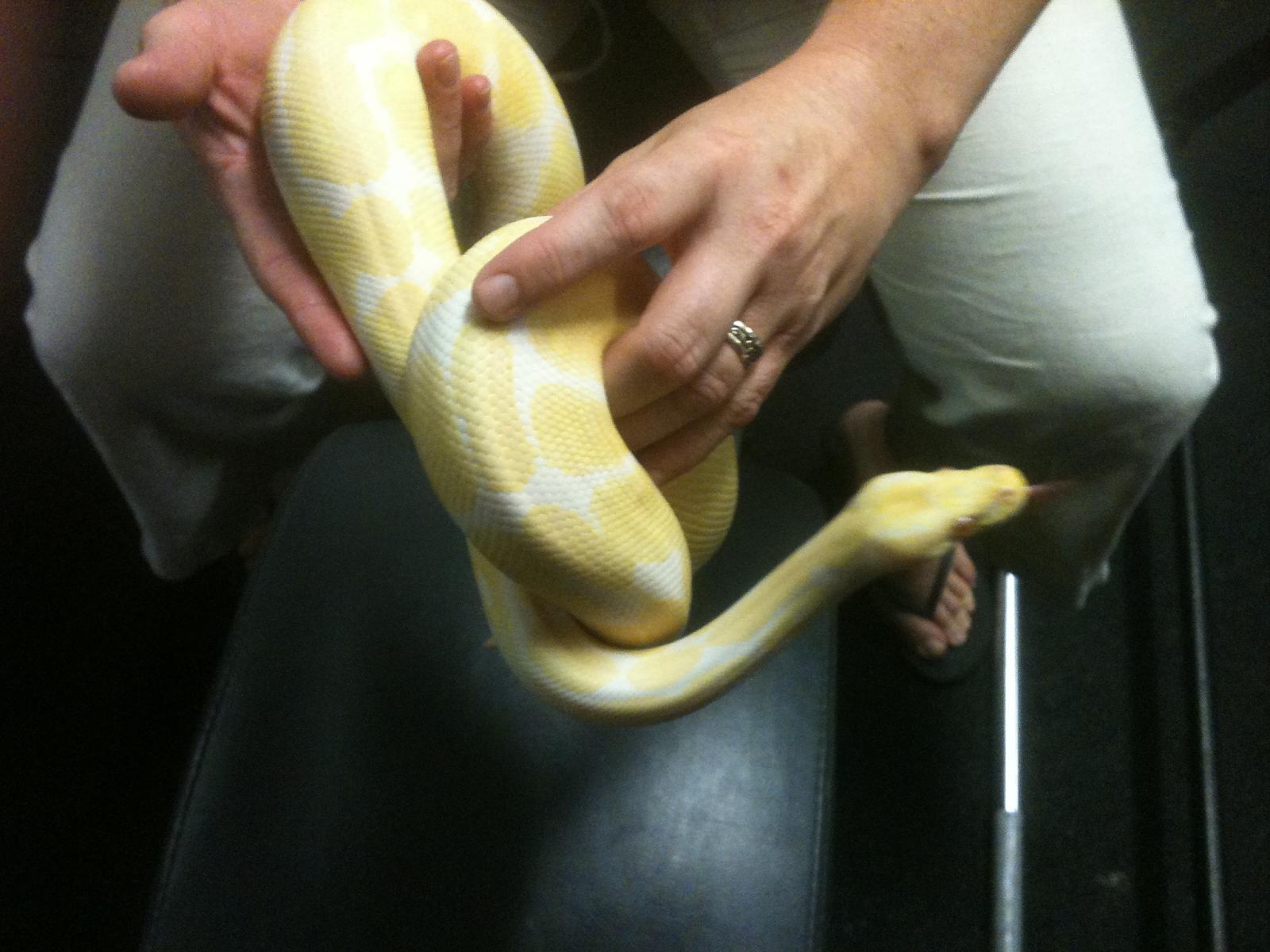 Albino Boy