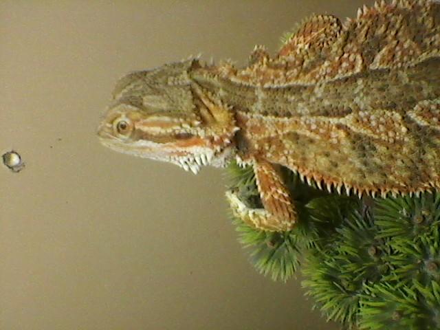 Some Pics Of My Babies