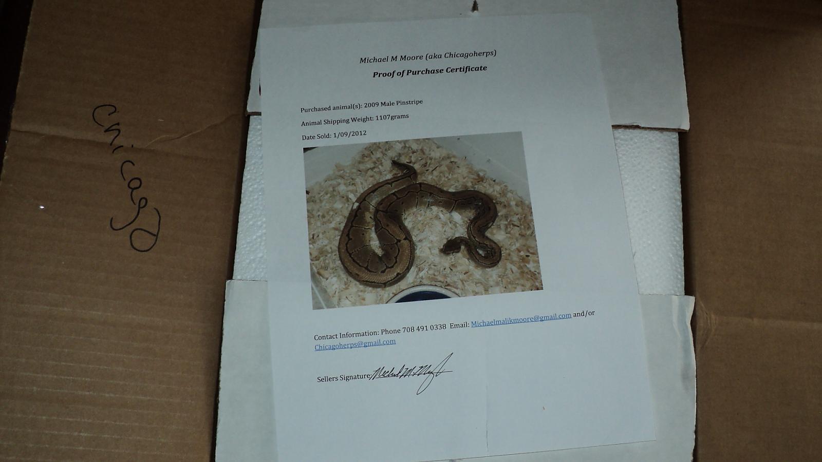 Look what came in today 1-11-12 (2)