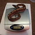 82 Grams
