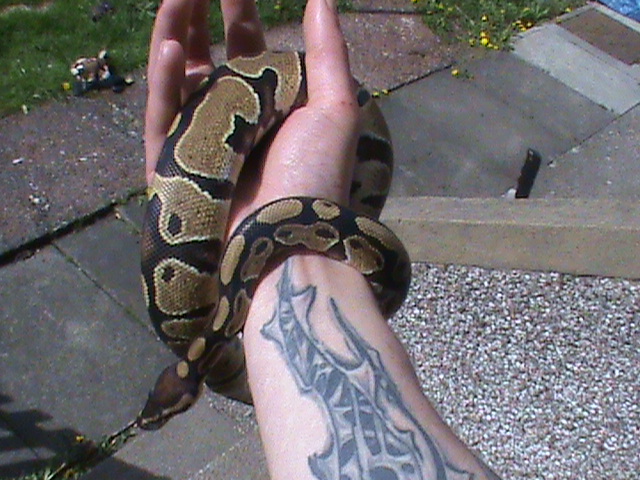 More Junior