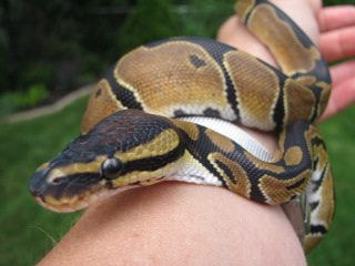 Creed Hangin' Outside