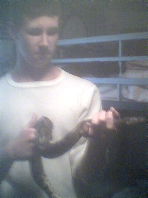 Rex The Bp