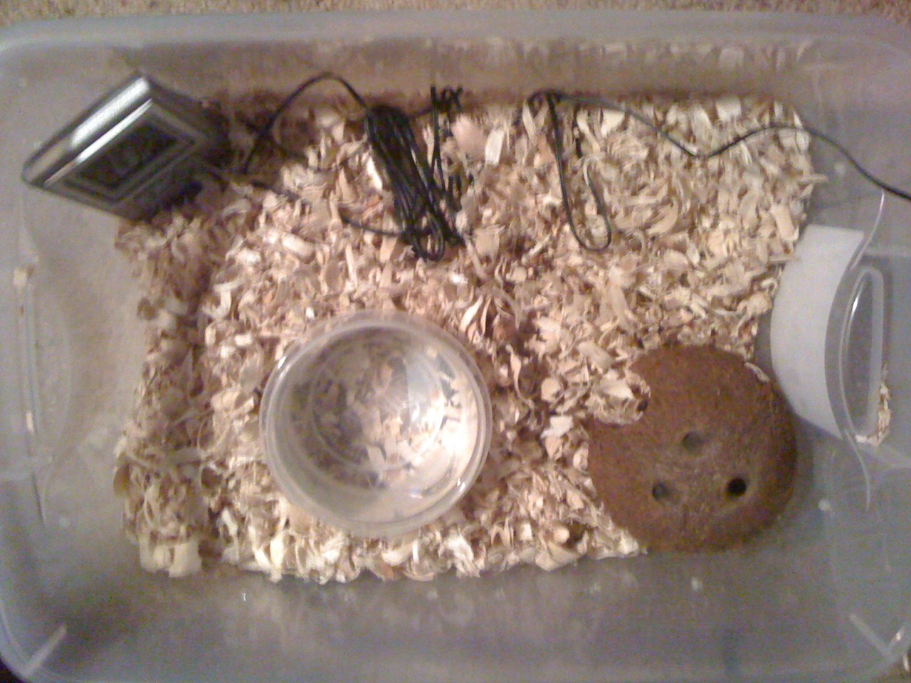 Photo 10