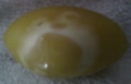 Prince's Egg