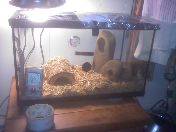 Montys Tank