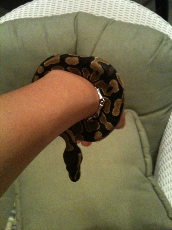 Ragnarok Bracelet