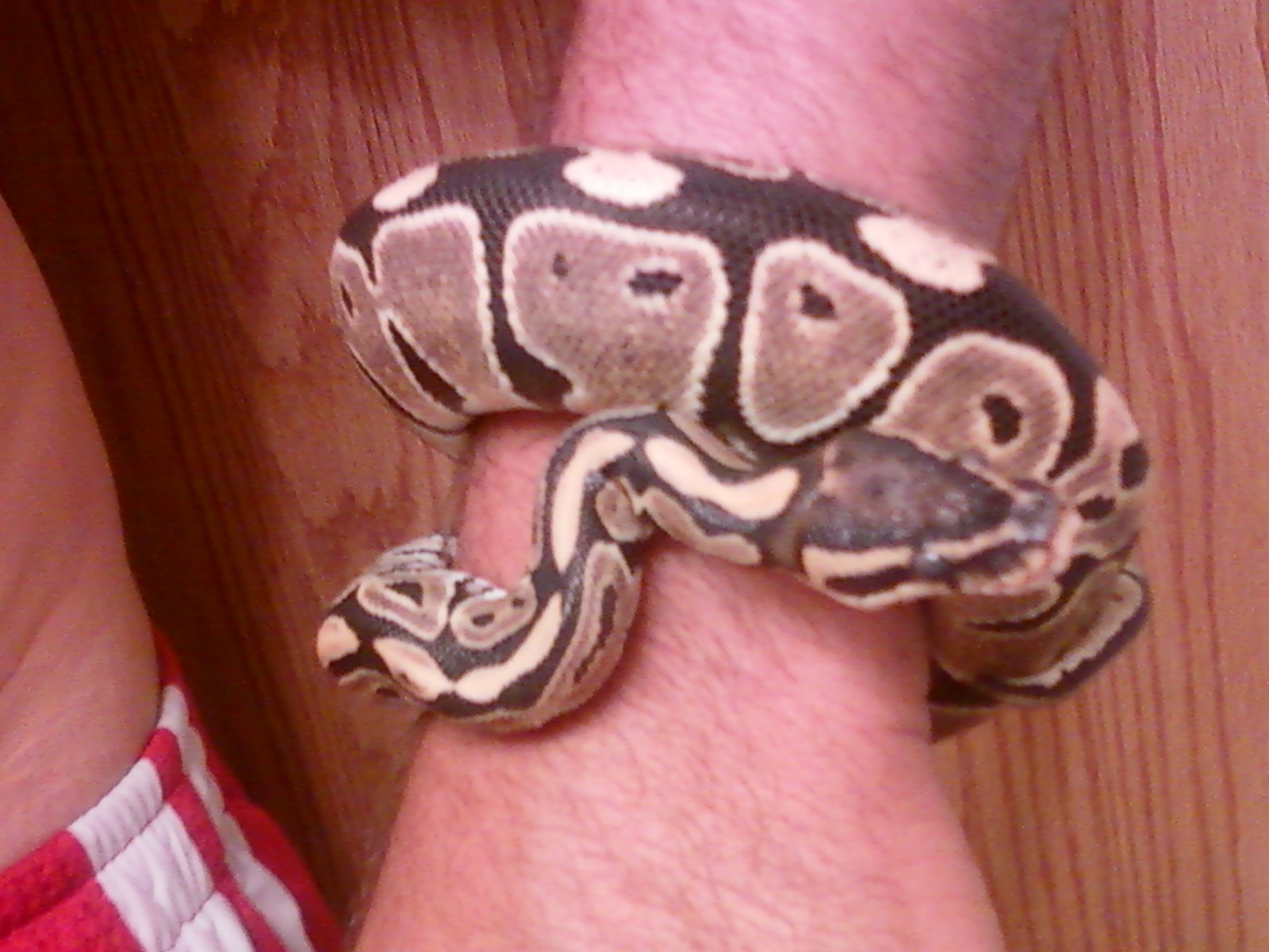 Lookin Good Baby