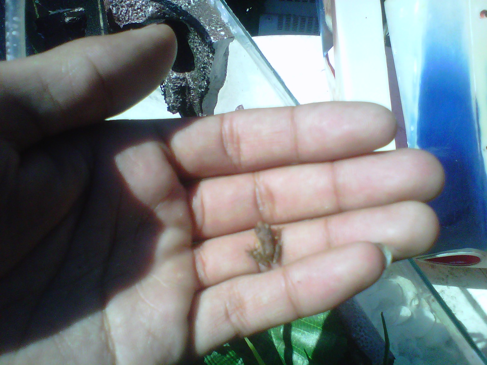 img00141-20110503-1022 805455