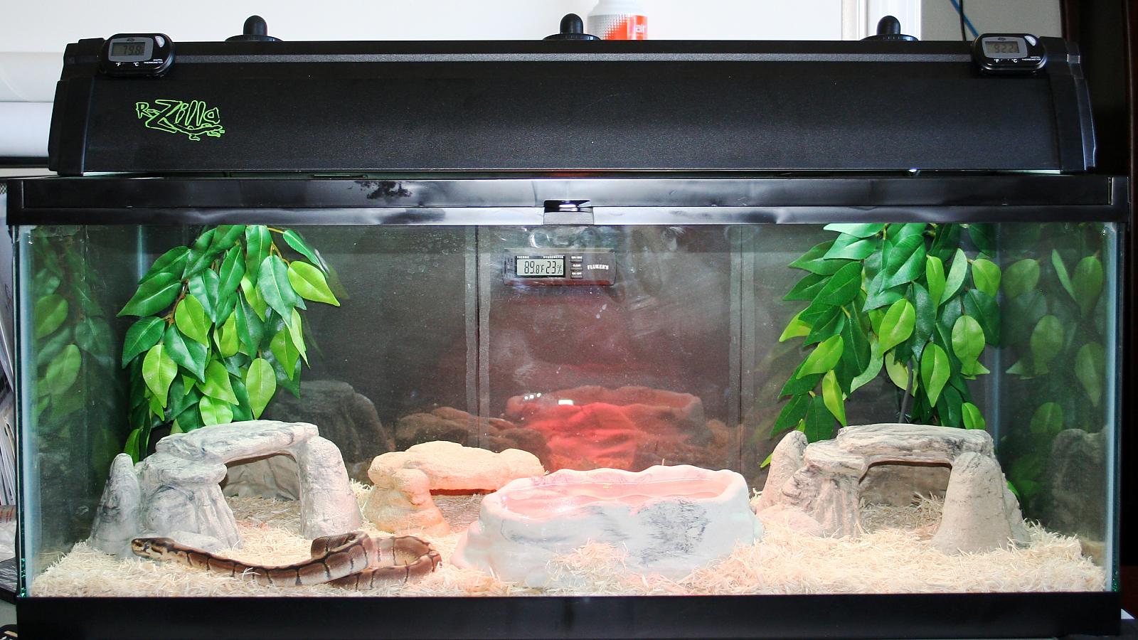 setup