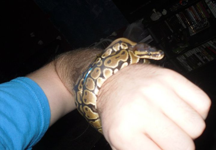 Claire in August 2010 when I got her.