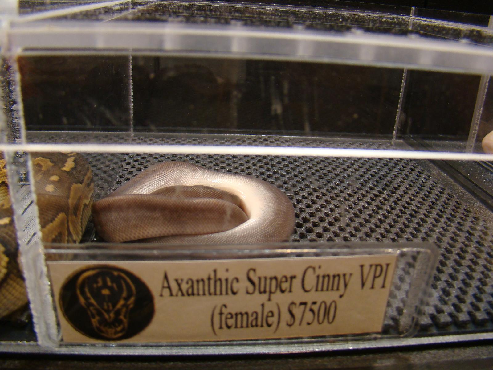 dsc04859