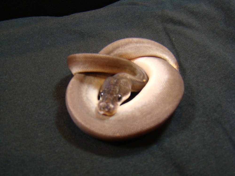 dsc04885