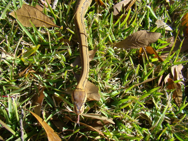 dsc05784