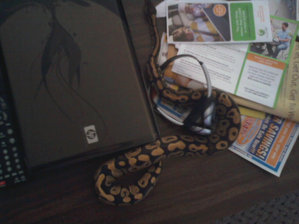 snakie!